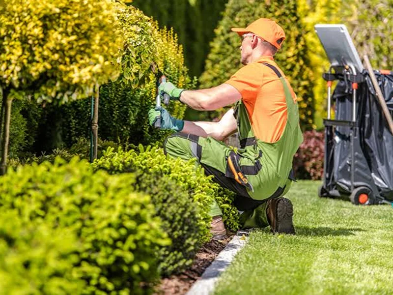Landscaping