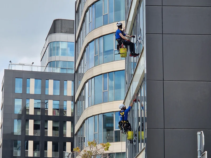 Exterior Cleaning